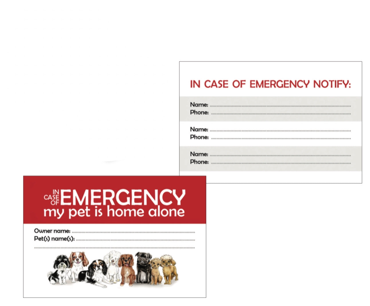 My Pet(s) Are Home Alone Keyring And Card Set - Glossy