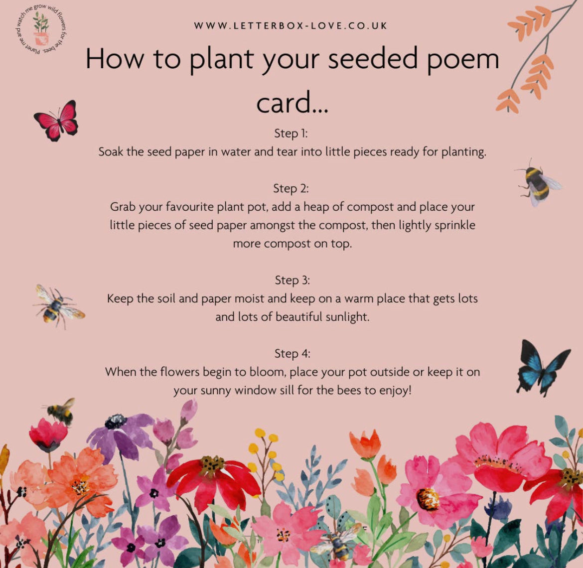 Sympathy Pet Loss - Seeded Card And Wish Bracelet