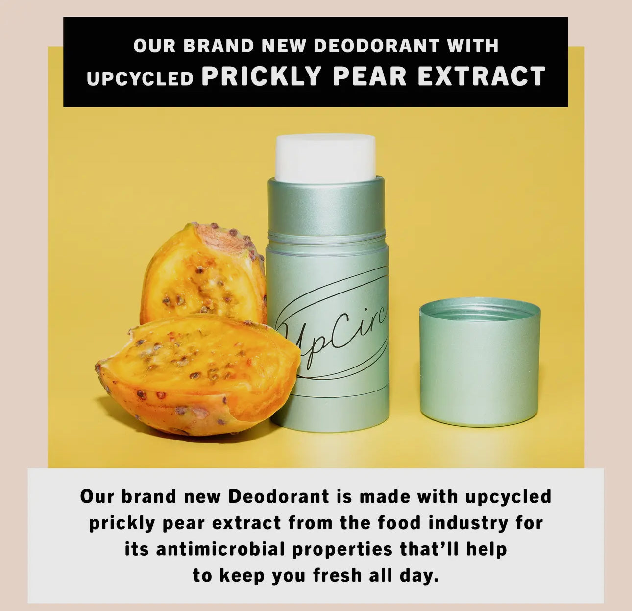 UpCircle Plastic Free Deodorant Refill - Macadamia + Bergamot