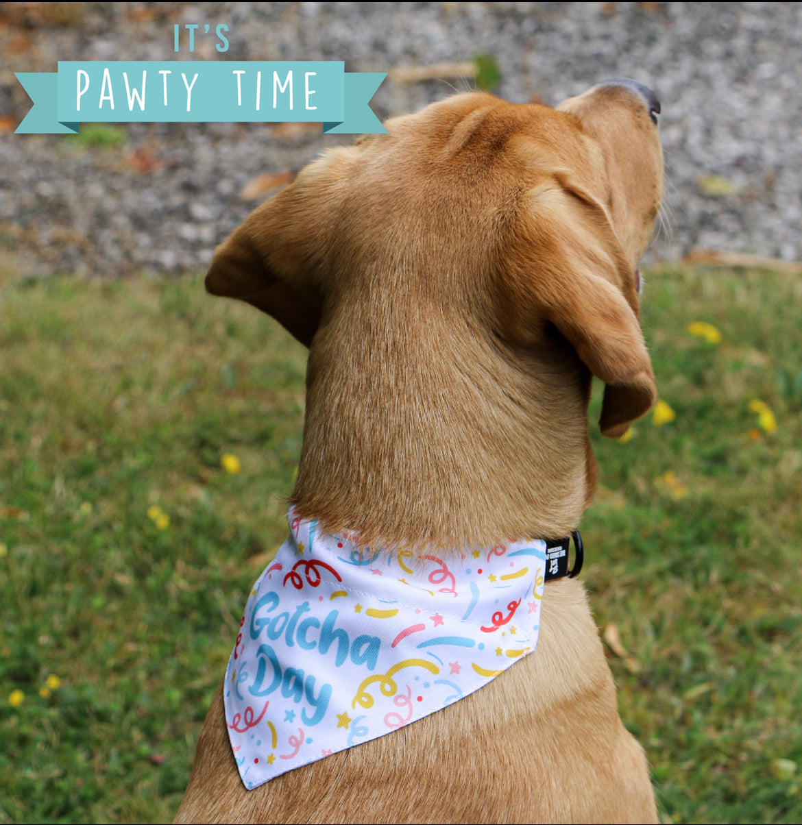Ancol Gotcha Dog Bandana