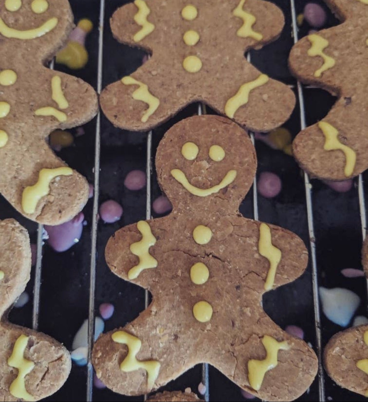 Bark And Bake Gingerbread Hoomans