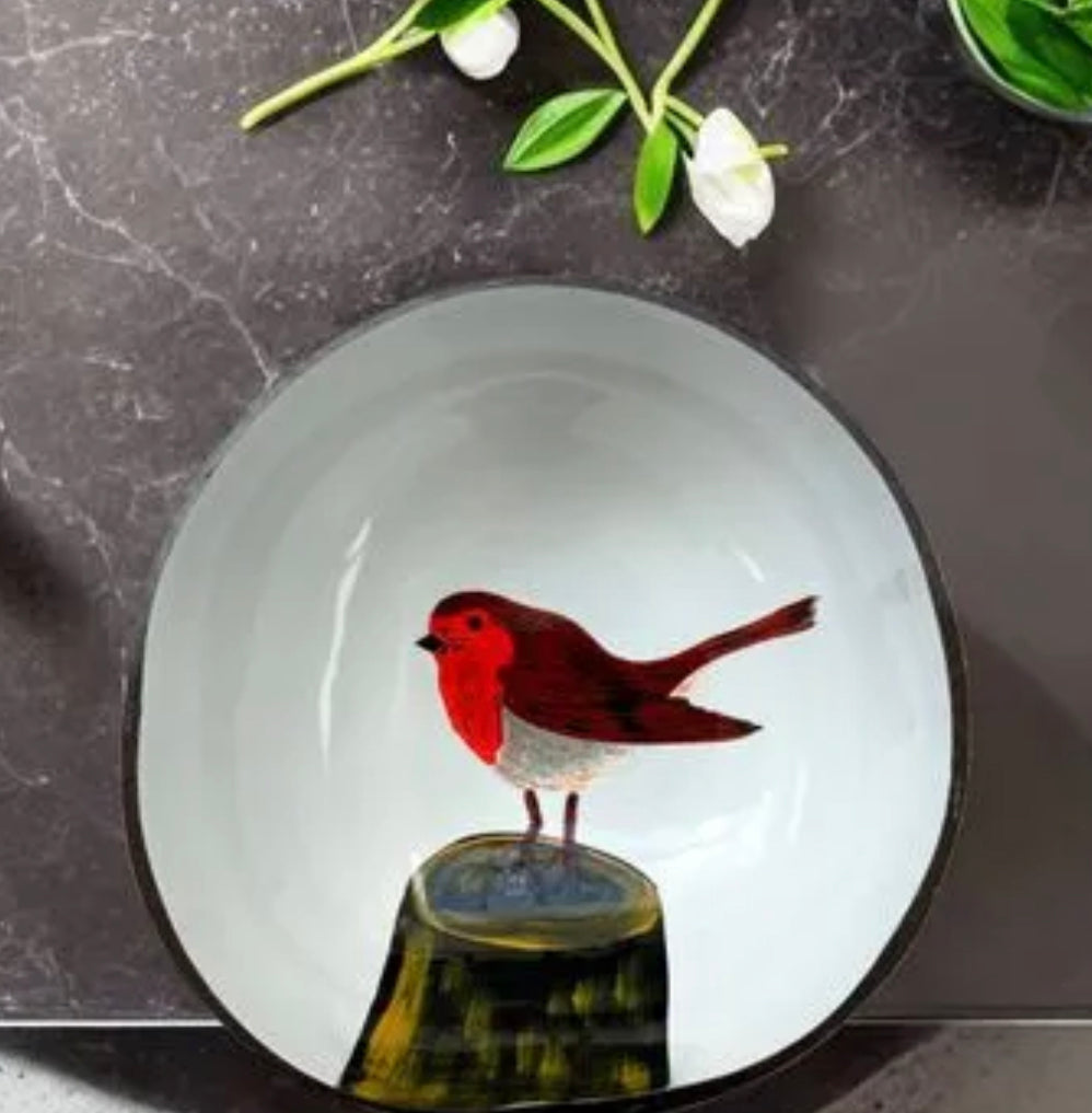 Handmade Hand Painted Robin Coconut Bowl And Spoon Set