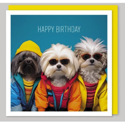 Happy Birthday Dogs Greeting Card