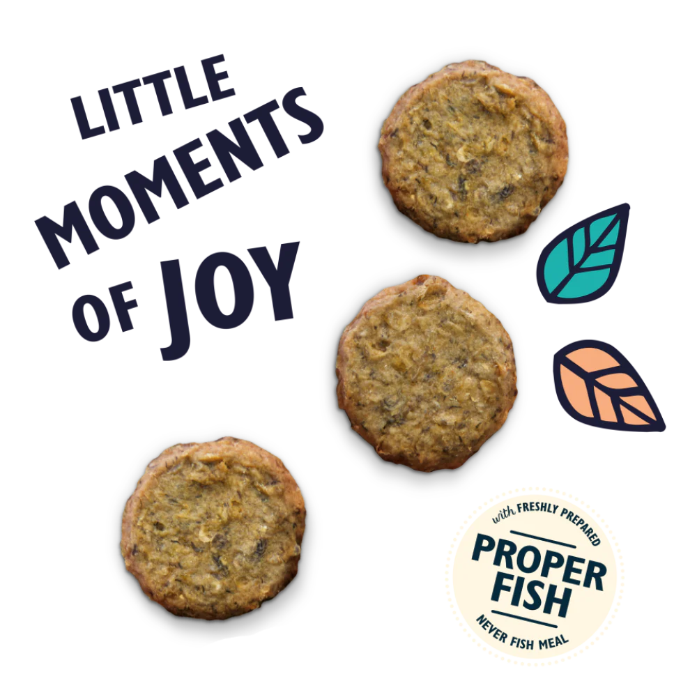 Lily’s Kitchen Salmon Fishcakes With White Fish And Dill