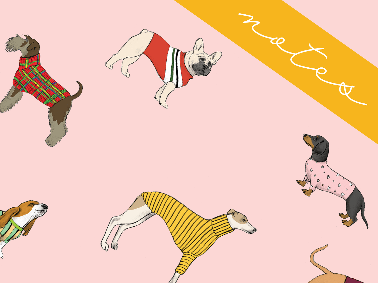 Dogs In Jumpers Memo Notebooks