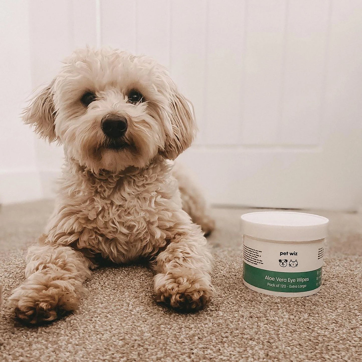 Pet Wiz Aloe Vera Eye Wipes for Cleaning Dogs And Cats