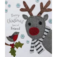 Special Friend Christmas Card- A Touch Of Sparkle