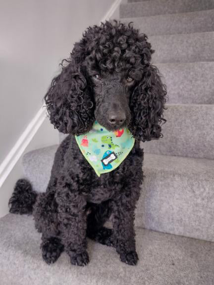 Prehistoric Pup Cooling Bandana