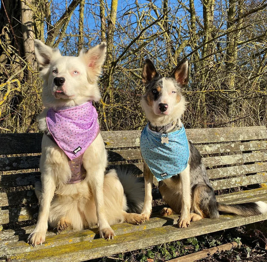 Sprinkles For Days Cooling Bandana - Pink