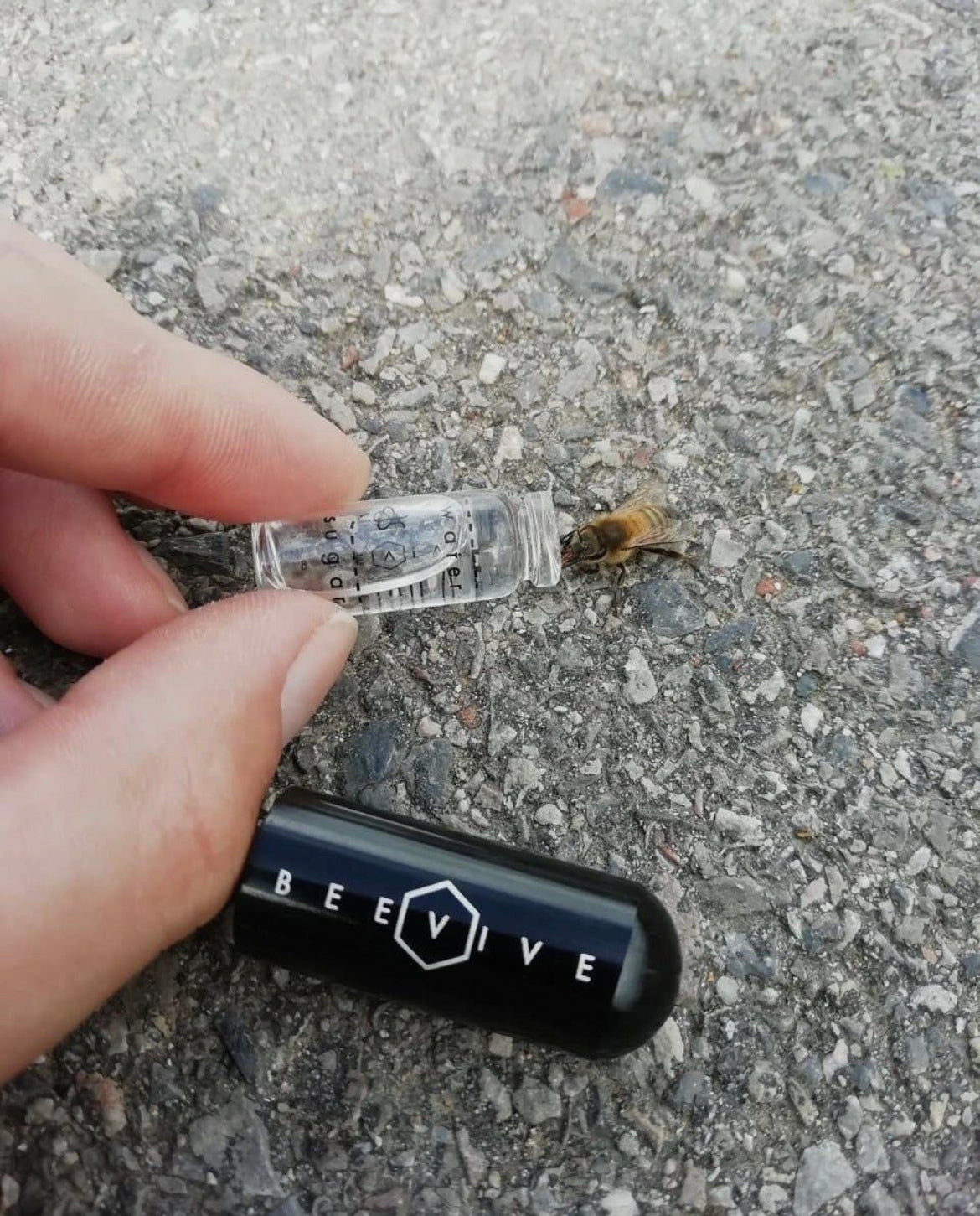 The Original Bee Revival Kit - Black Edition
