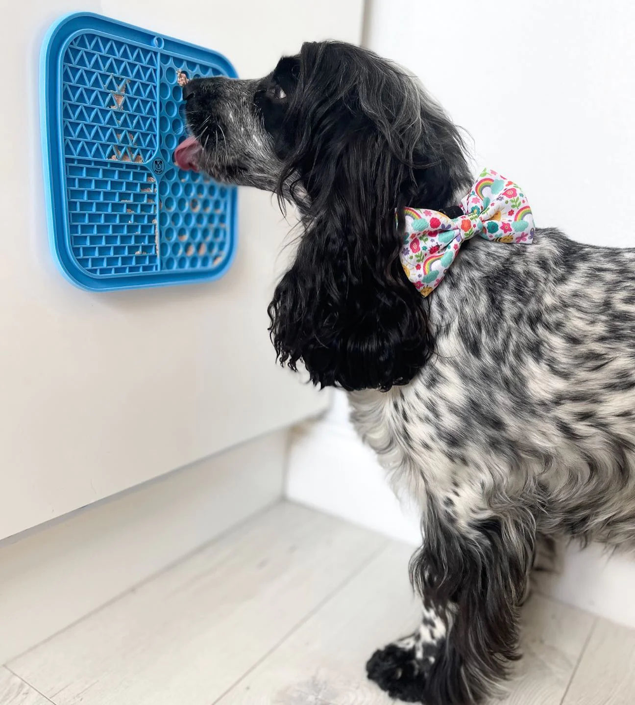 Pet Wiz Silicone Licking Mat - Blue