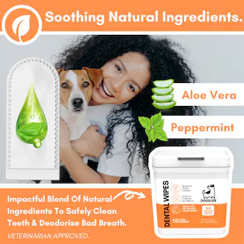 Dogslife Dental Cleaning Wipes