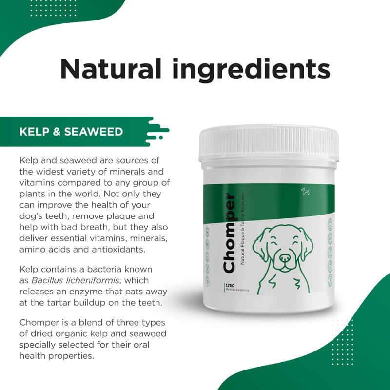 Dog’s Lounge CHOMPER – Organic Tartar & Plaque Remover for Dogs And Puppies