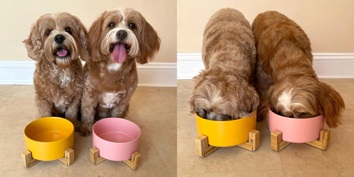 Pet Wiz Ceramic Bowl With Bamboo Stand - Pink