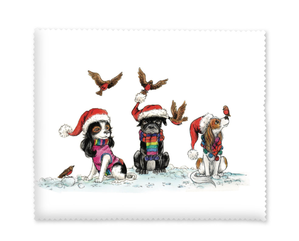 Christmas Robins Lens Cloth