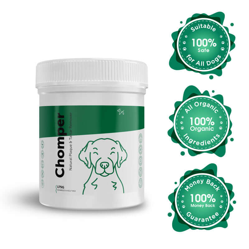 Dog’s Lounge CHOMPER – Organic Tartar & Plaque Remover for Dogs And Puppies
