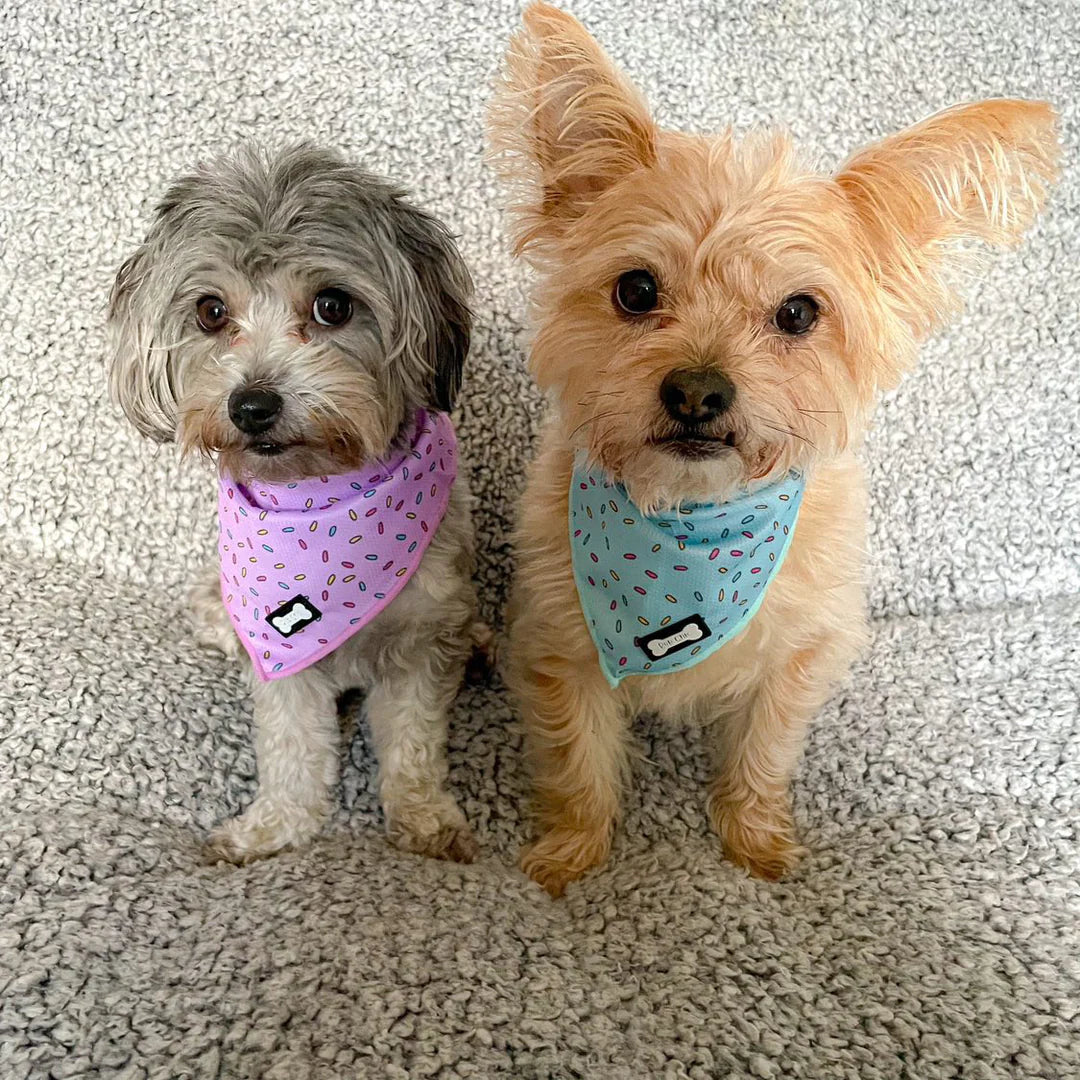 Sprinkles For Days Cooling Bandana - Blue