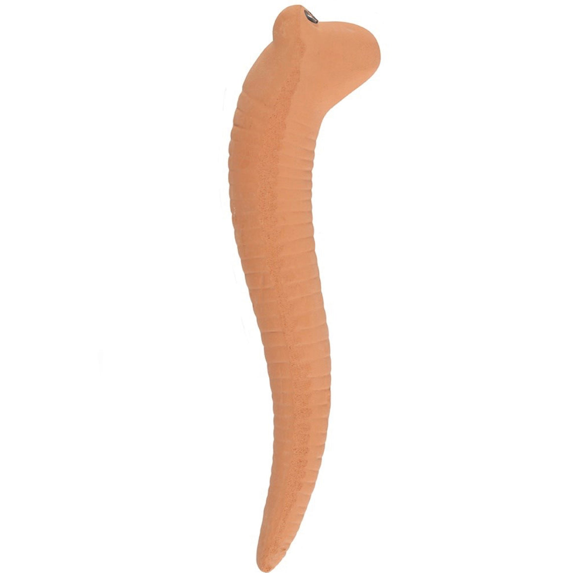Large Willy The Terracotta Worm