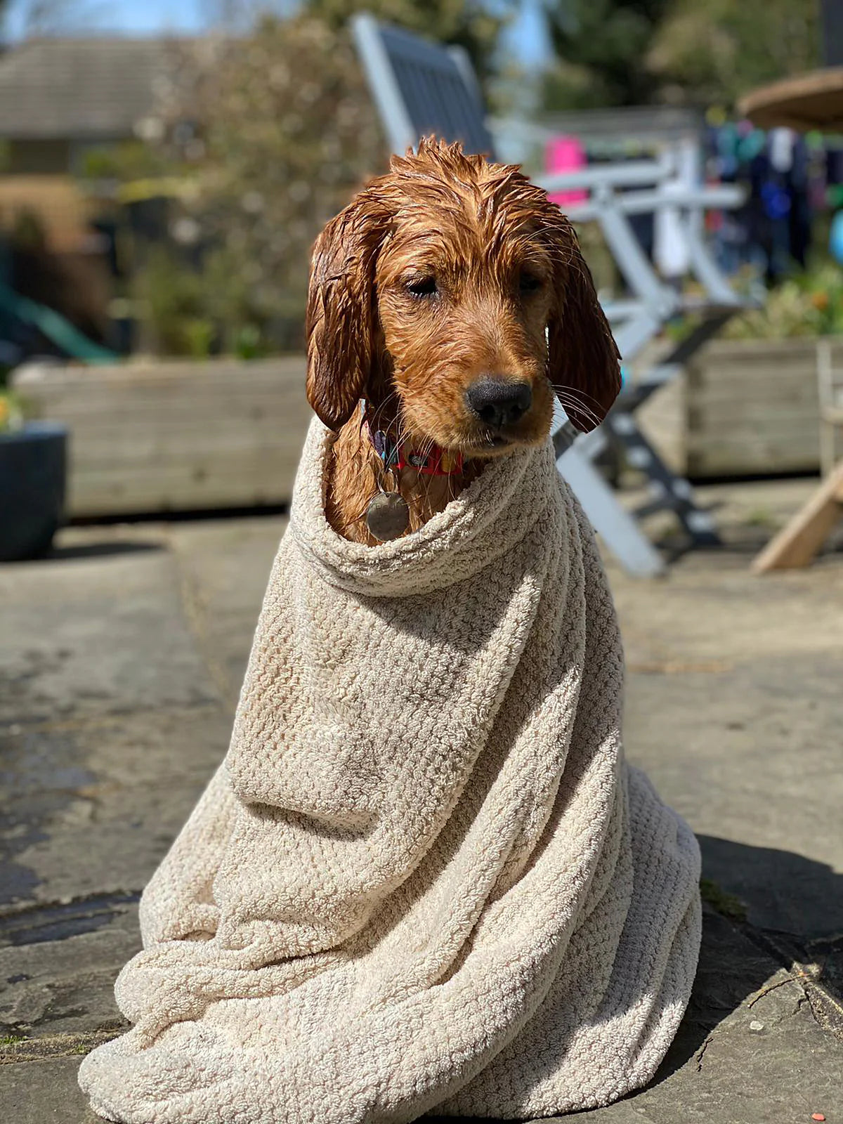 Pet Wiz Super Absorbent Microfibre Dog Drying Bag