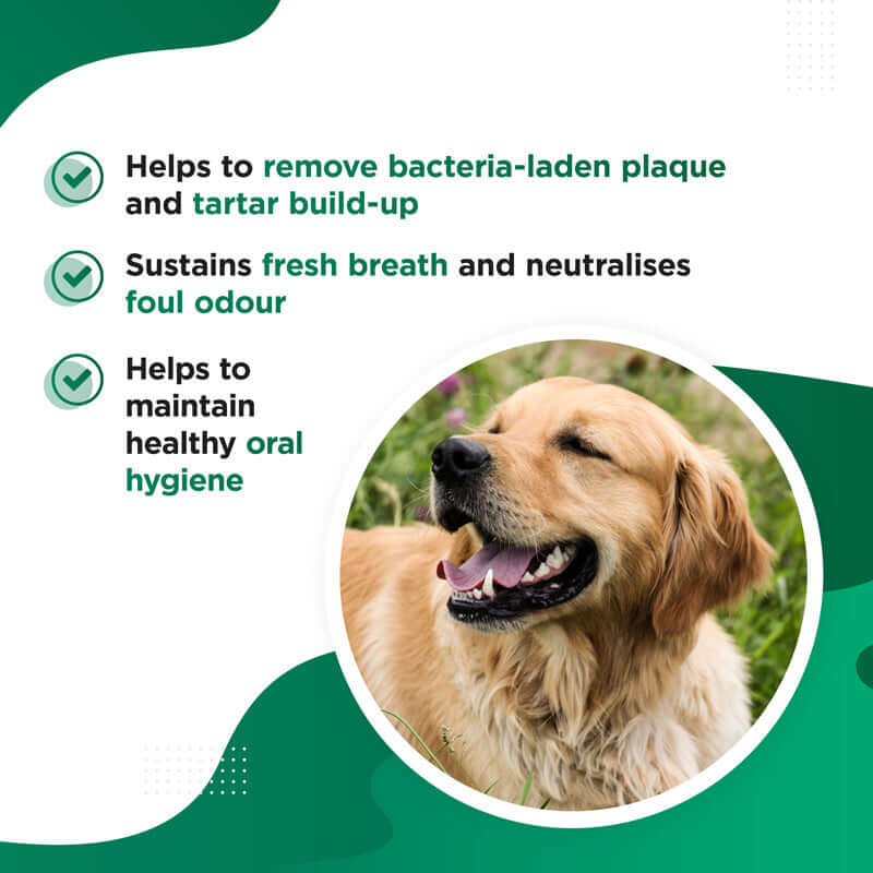Dog’s Lounge CHOMPER – Organic Tartar & Plaque Remover for Dogs And Puppies