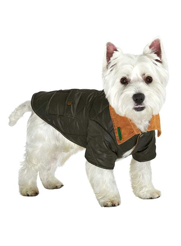 Green Quilted Town & Country Coat
