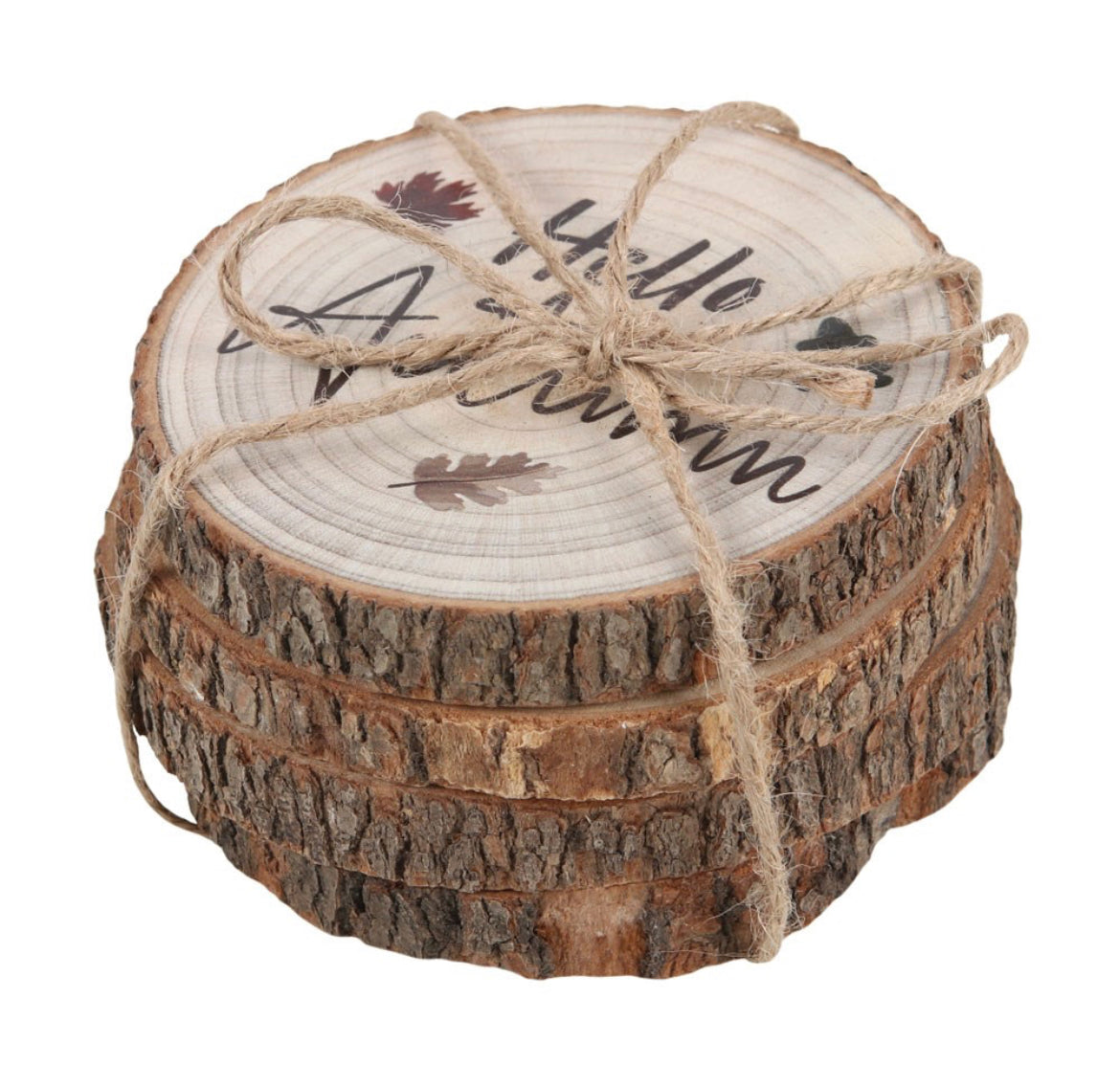 Hello Autumn Wood Slice Coaster Set