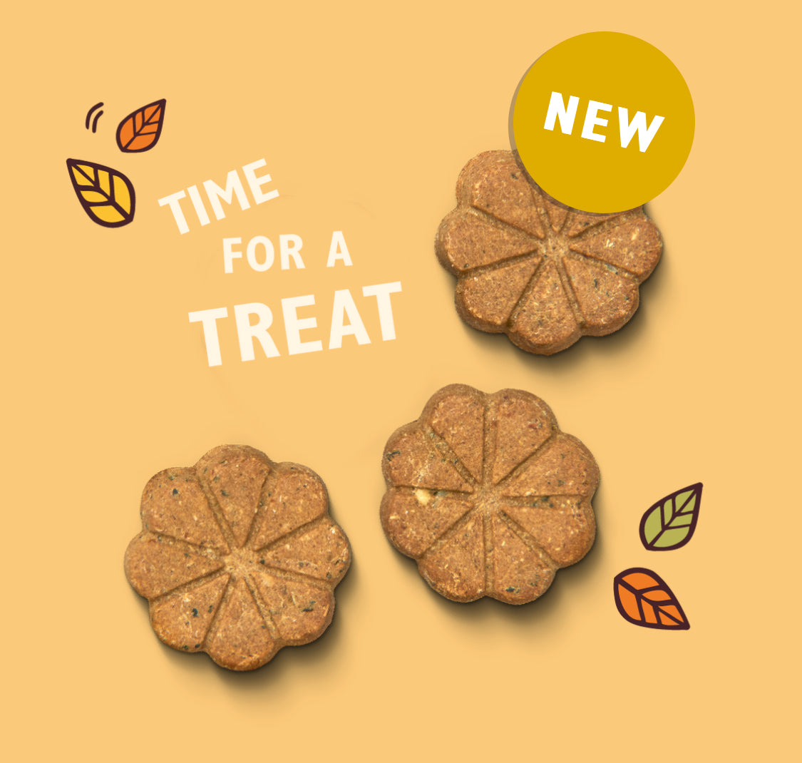Lily's Kitchen Breaktime Biscuits