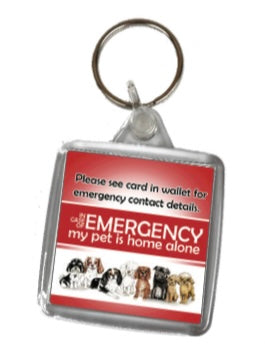 My Pet(s) Are Home Alone Keyring And Card Set - Acrylic