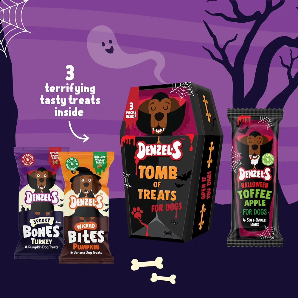 Denzel’s Halloween Tomb Of Treats For Dogs