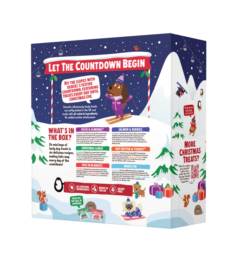 Denzel’s Christmas Advent Calendar