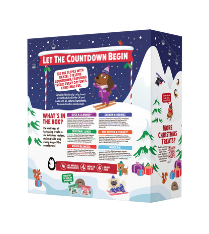 Denzel’s Christmas Advent Calendar