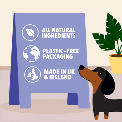 Denzels Blueberry Muffin Soft Baked Chews