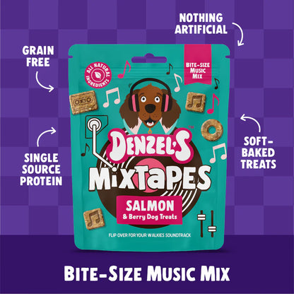 Denzel’s Mixtapes Salmon And Berry Dog Treats