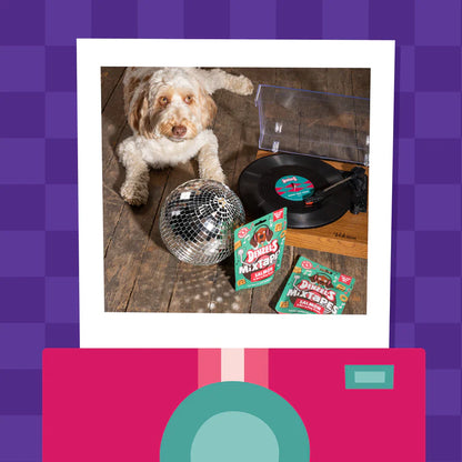 Denzel’s Mixtapes Salmon And Berry Dog Treats