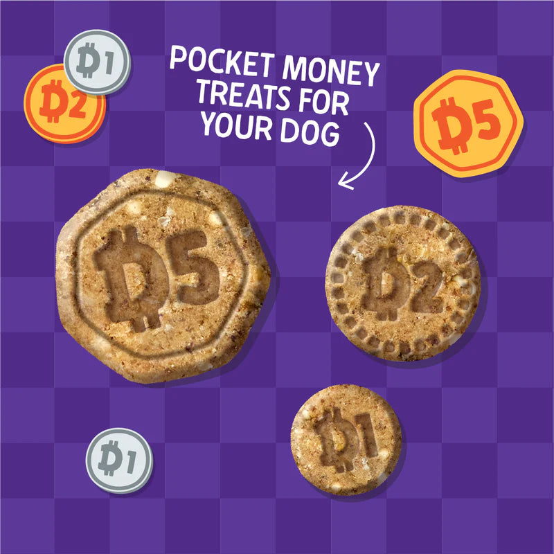 Denzel’s Coins - Chicken And Pumpkin Dog Treats