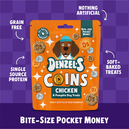 Denzel’s Coins - Chicken And Pumpkin Dog Treats