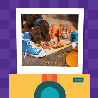 Denzel’s Coins - Chicken And Pumpkin Dog Treats