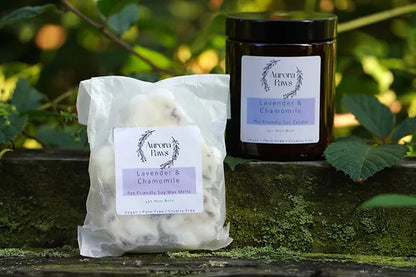 Aurora Paws Dog Friendly Lavender Soy Candle