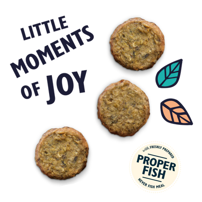 Lily’s Kitchen Salmon Fishcakes With White Fish And Dill