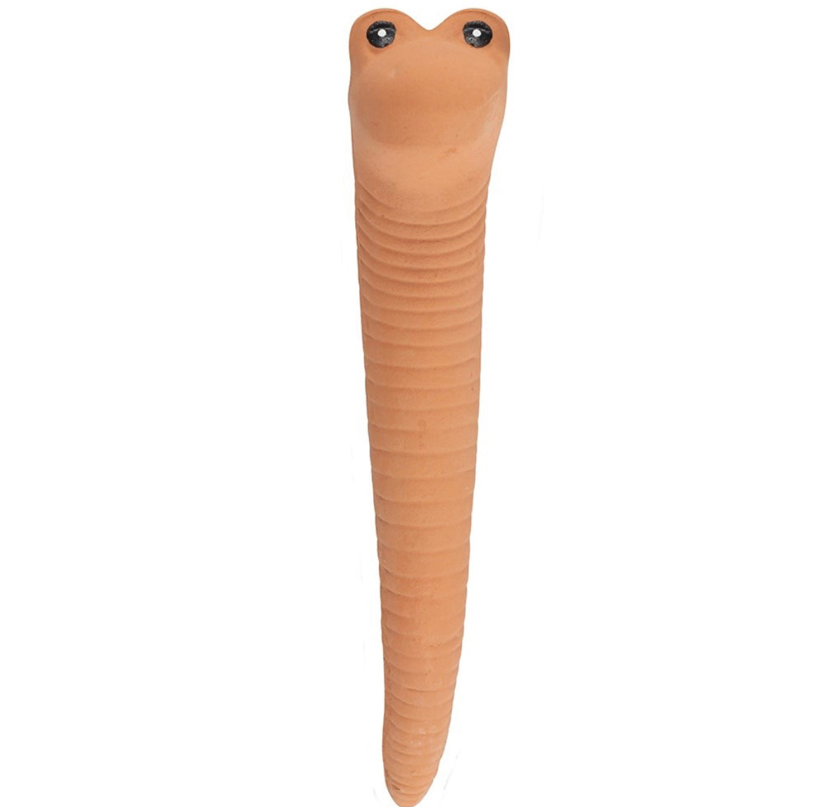 Large Willy The Terracotta Worm