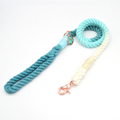 Pipkin And Bella Clip Lead - Ombré Teal Delight