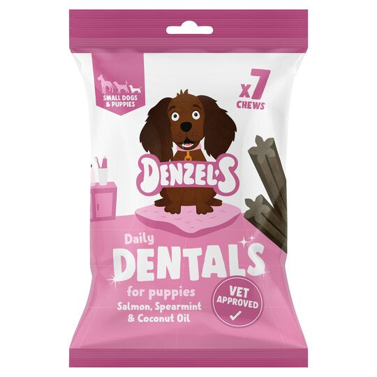 Denzel’s Daily Dentals - Salmon Spearmint And Coconut Oil