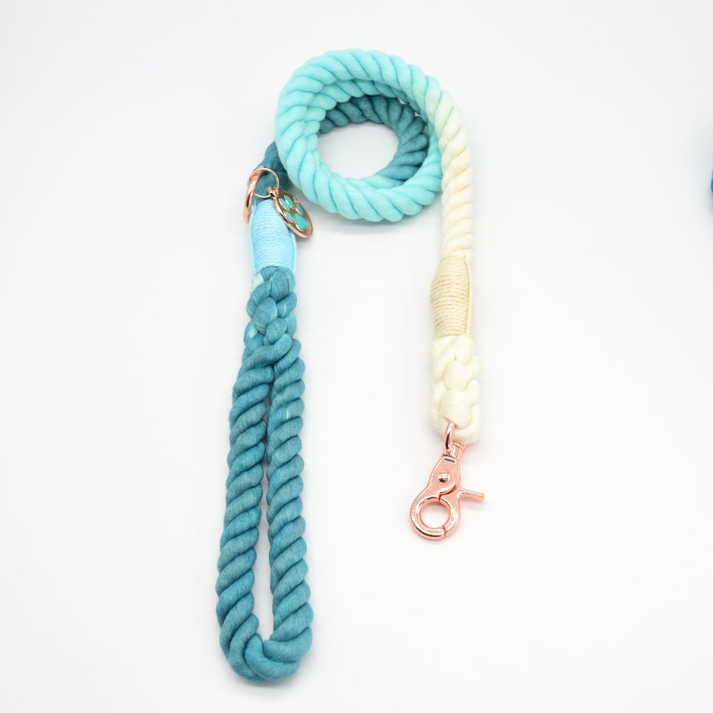 Pipkin And Bella Clip Lead - Ombré Teal Delight