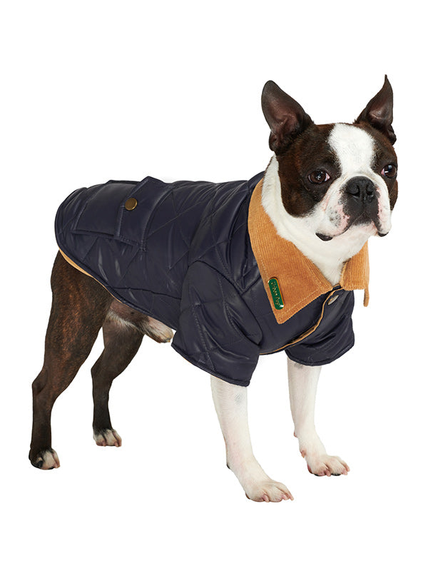 Navy Quilted Town Country Dog Coat – Pudding And The PA