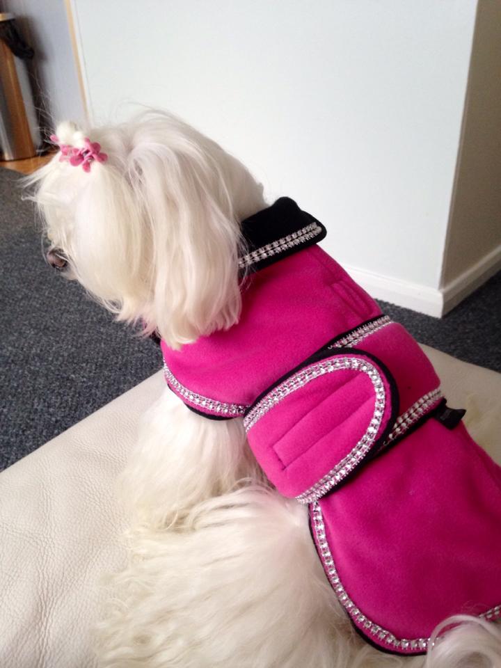 Sparkles Fleece Dog Coat